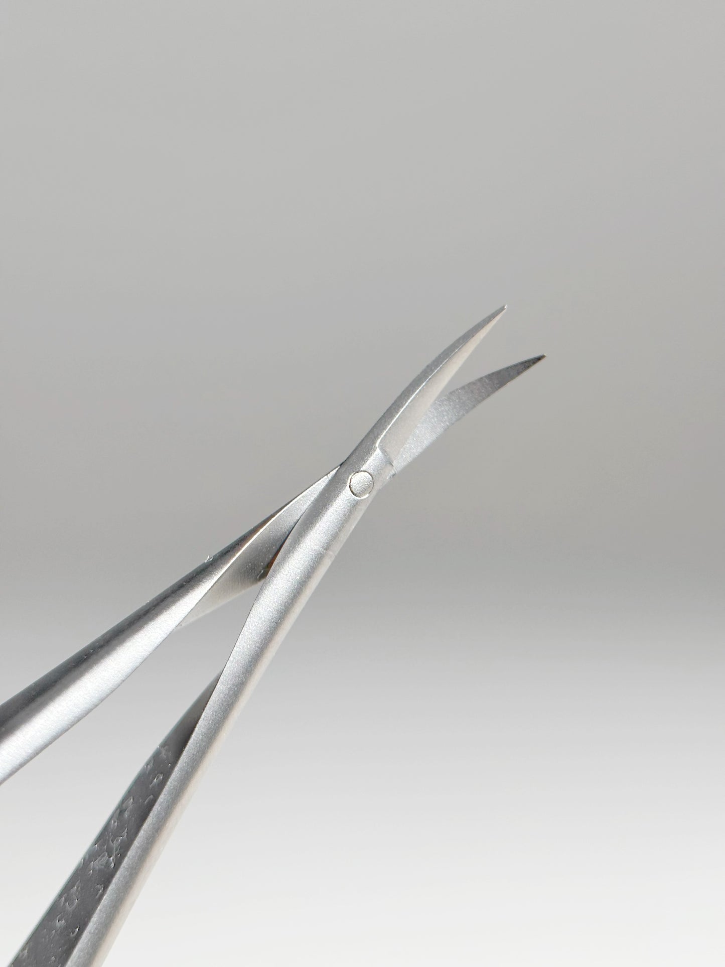 Precision Manicure Scissors