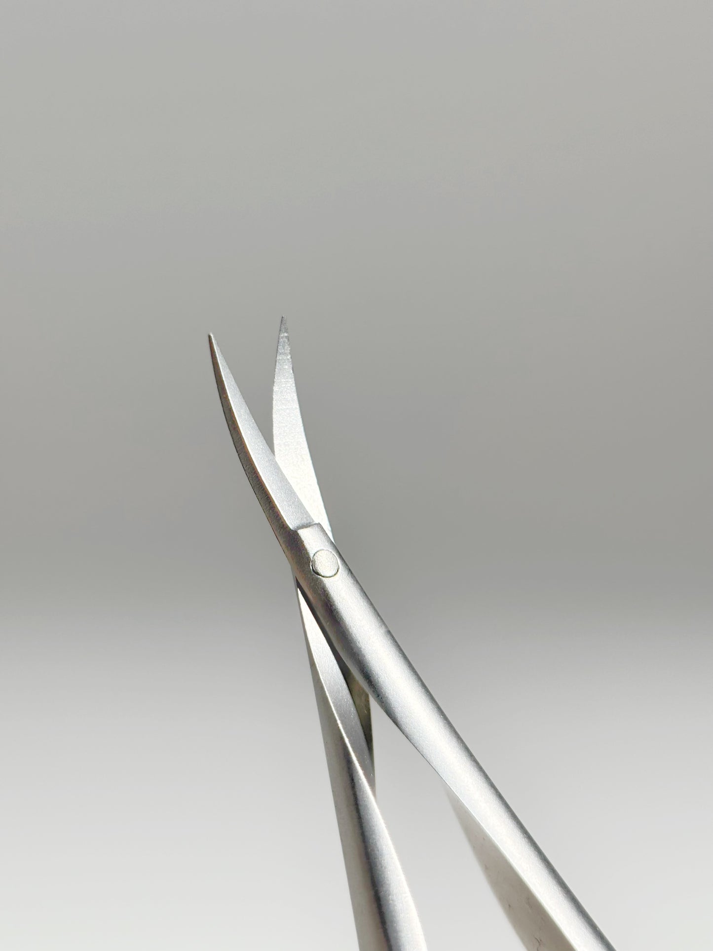 Precision Manicure Scissors